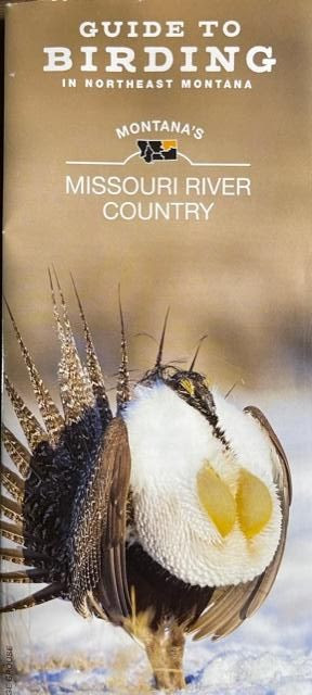 BIRDING BROCHURE